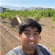 Postulación a profesor de dibujo técnico, autocad y similar